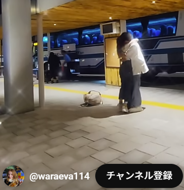天然彼女エヴァちゃん　仕事